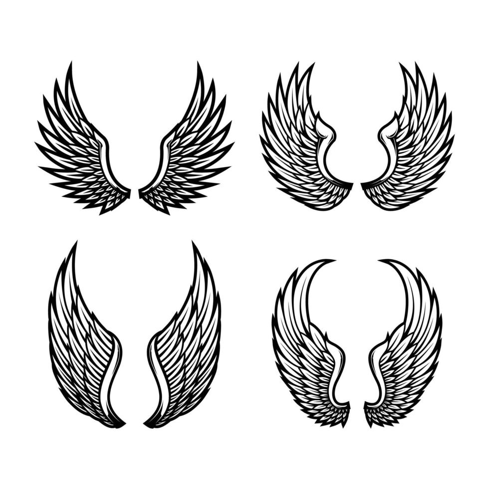 conjunto de alas en vector