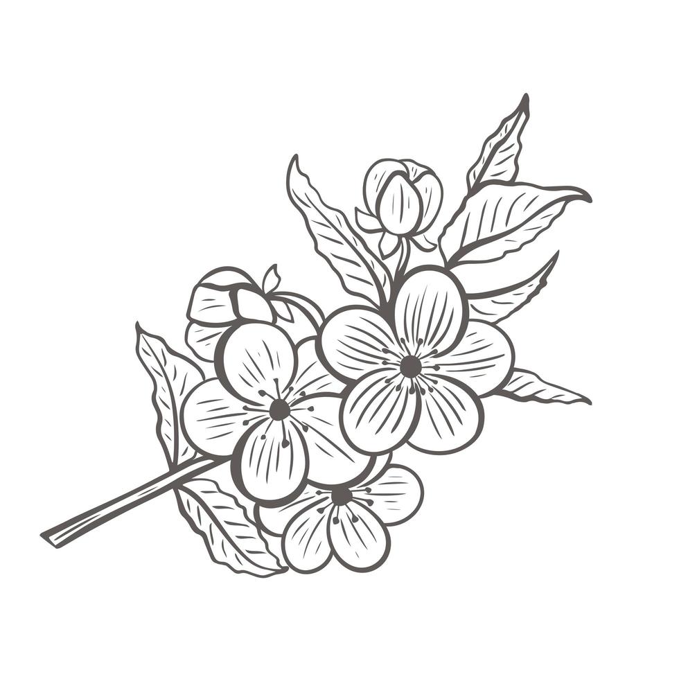 Blooming tree twig sketch vector