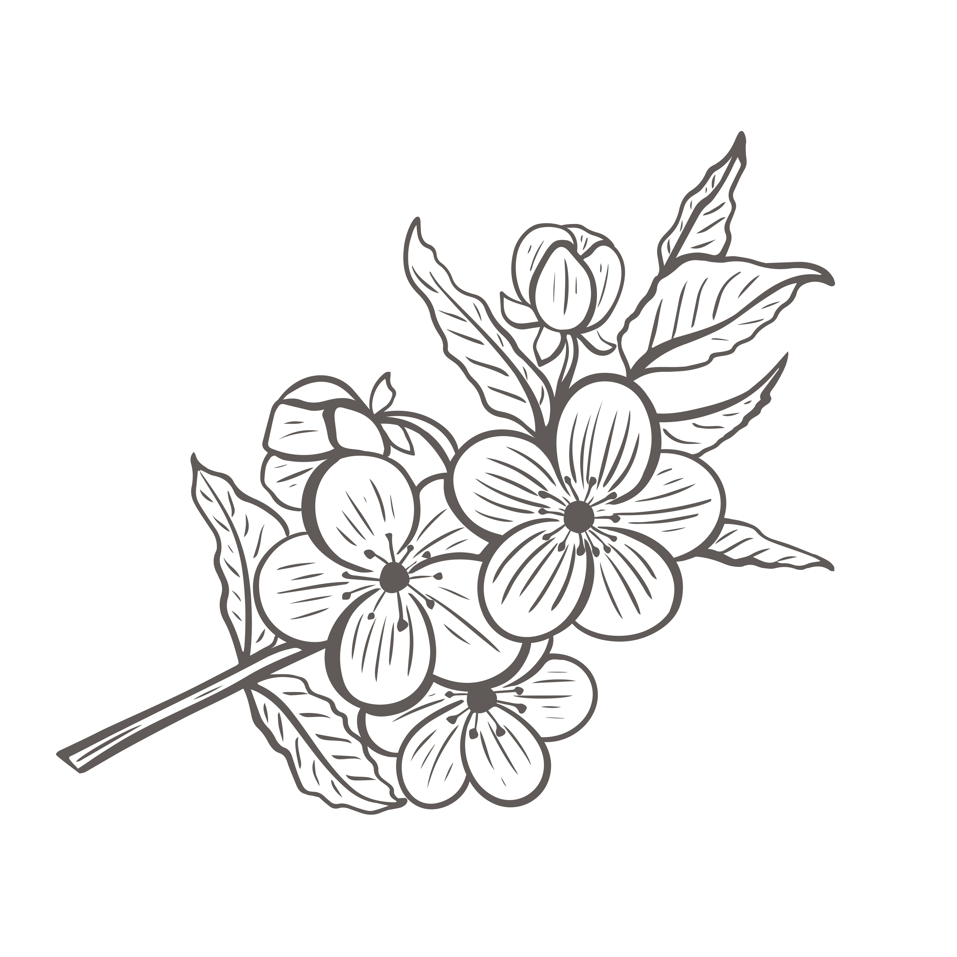 Blooming tree twig sketch 6328901 Vector Art at Vecteezy