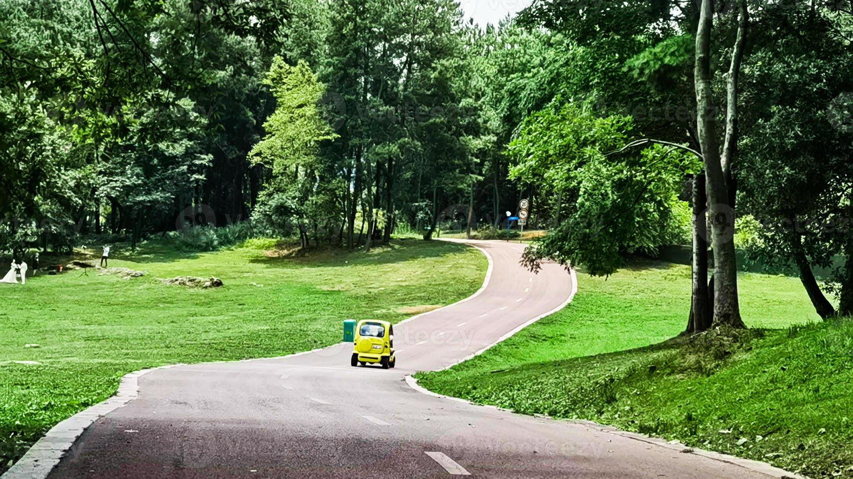 Yellow car, tree, forest photo