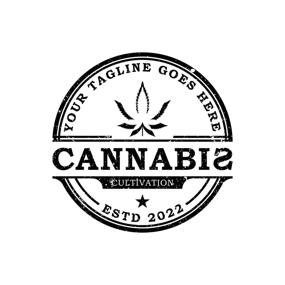 diseño de logotipo de etiqueta de sello de rectángulo de cáñamo de marihuana vintage vector