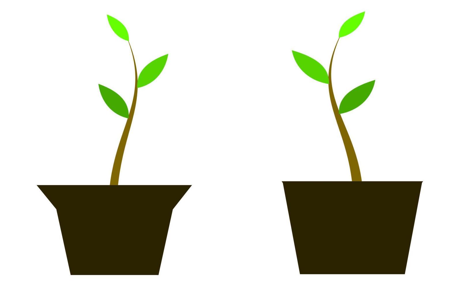 potted planting vector