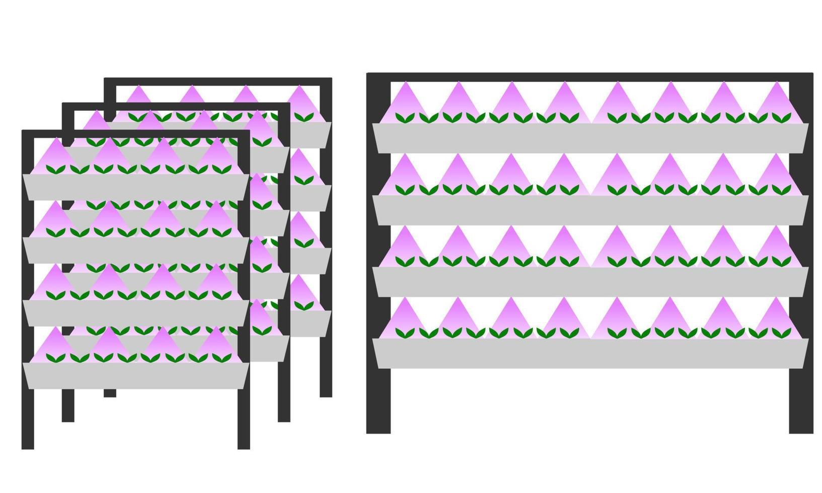 vertical farming vector