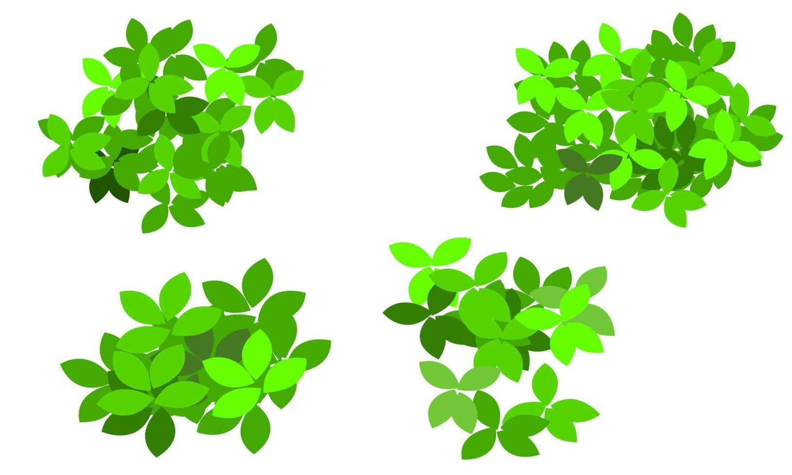 green bush leaves vector