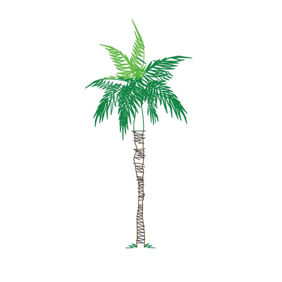 icono de árbol de coco en vector 2d estilo dibujado a mano aislado sobre fondo blanco