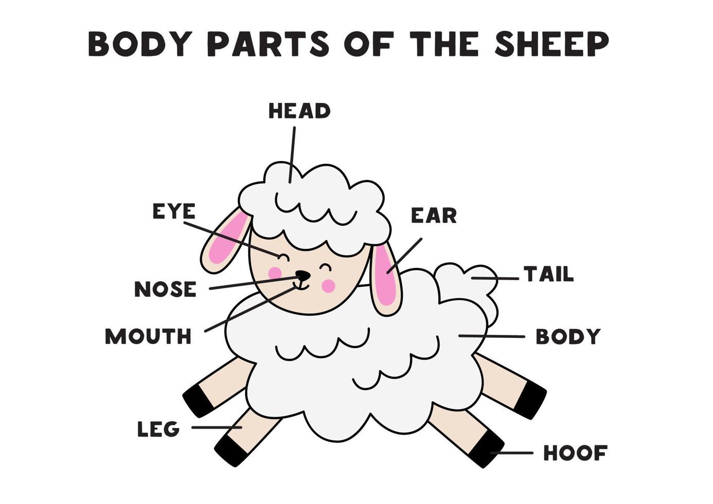 partes del cuerpo de la oveja. esquema para niños. vector