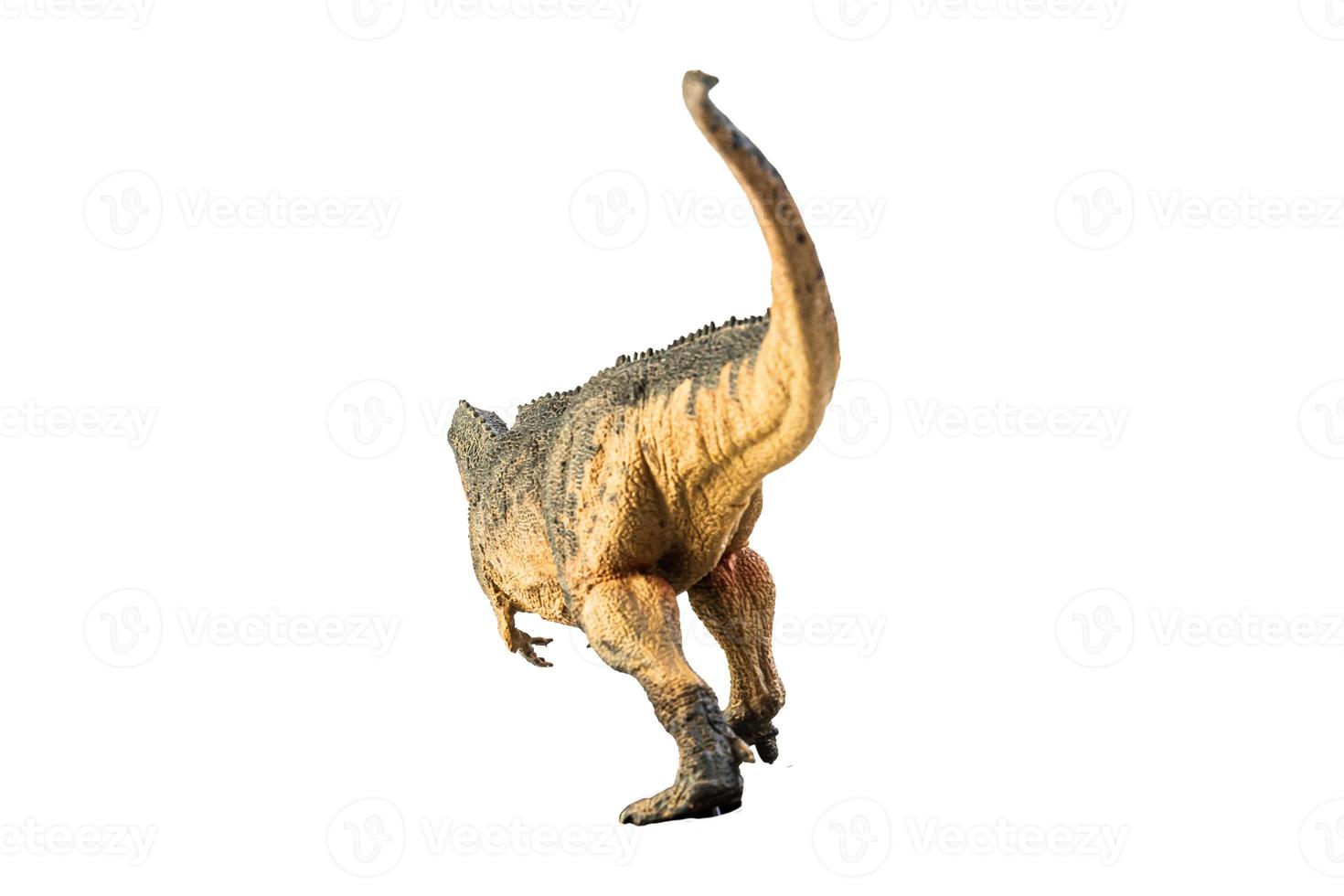 Giganotosaurus   , dinosaur on white background . photo