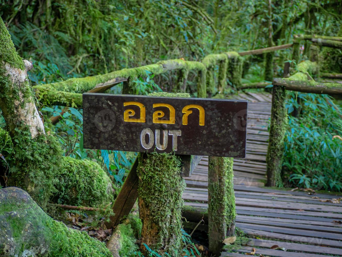 Exit sign Rainforest background photo