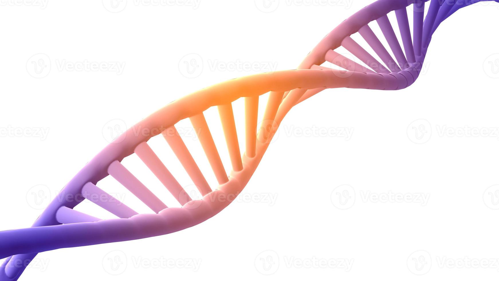 3D render DNA structure  polygonal wireframe DNA isolated background. 3D illustration photo