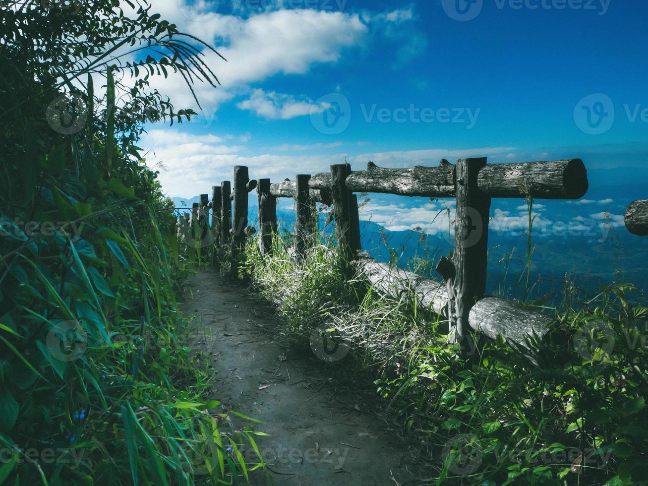 cliff side pathway at Doi Inthanon National Park , Thailand photo