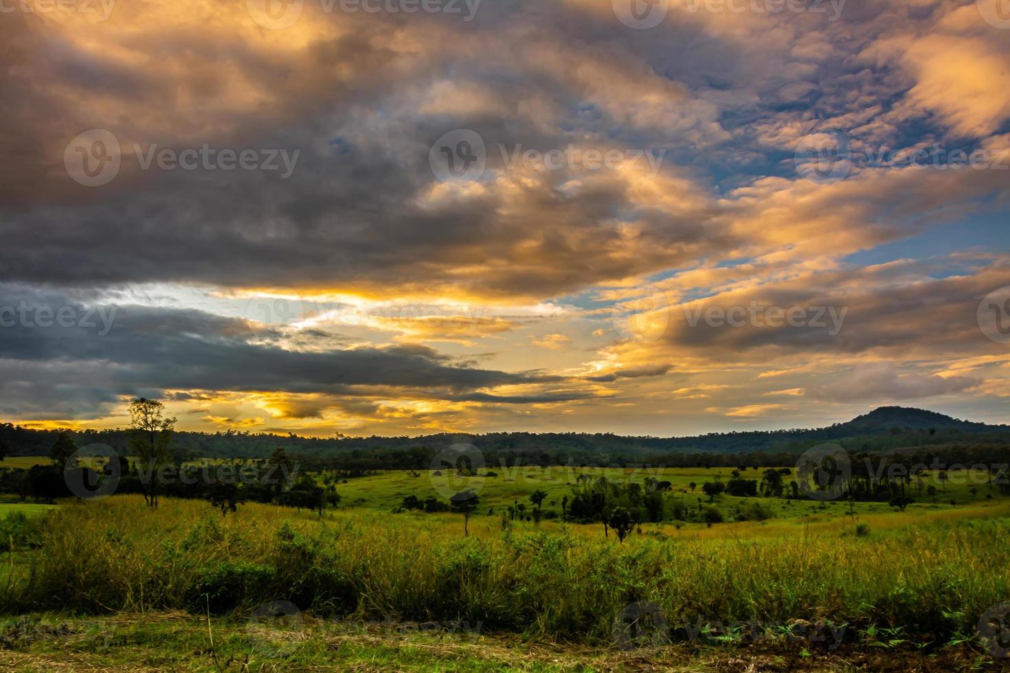 Beautiful forest landscape in Thung Salaeng Luang National Park at Phitsanulok province in Thailand. Savanna in National Park of Thailand named Thung Salaeng Luan photo