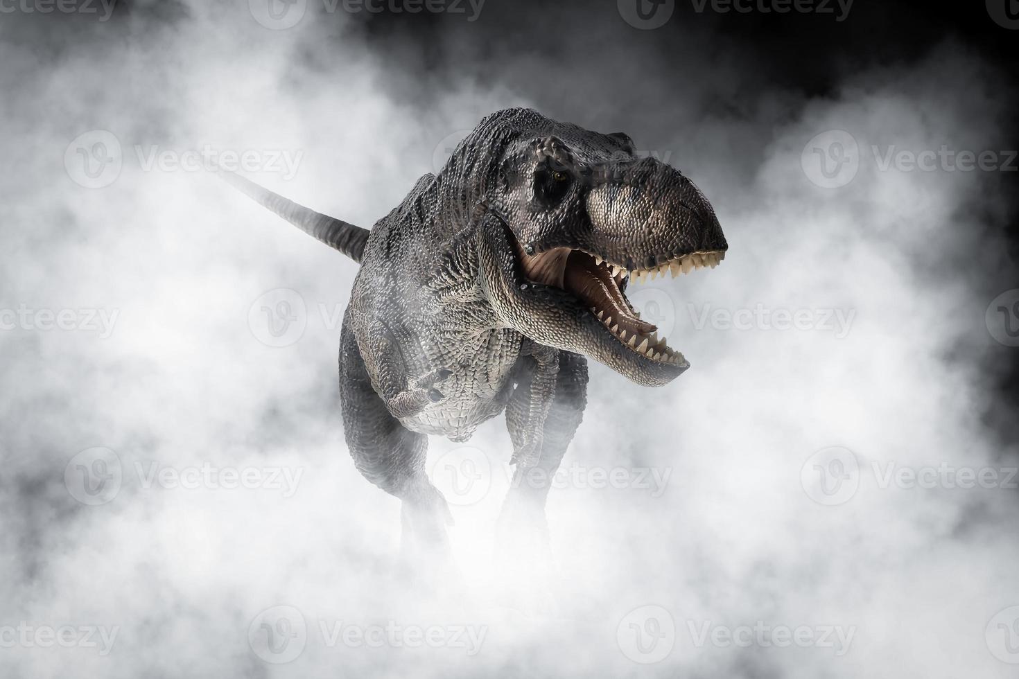 Tyrannosaurus T-rex ,dinosaur on smoke background photo