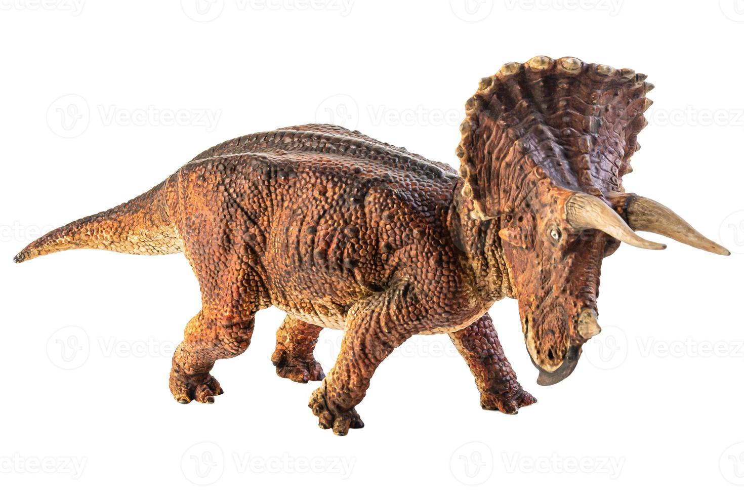 triceratops, dinosaurio sobre fondo blanco. foto