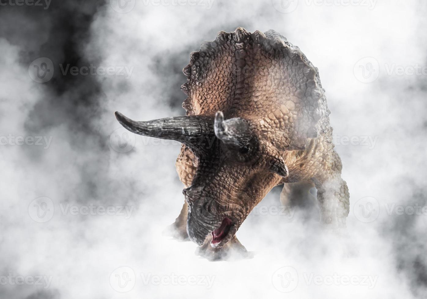 Triceratops ,dinosaur on smoke background photo