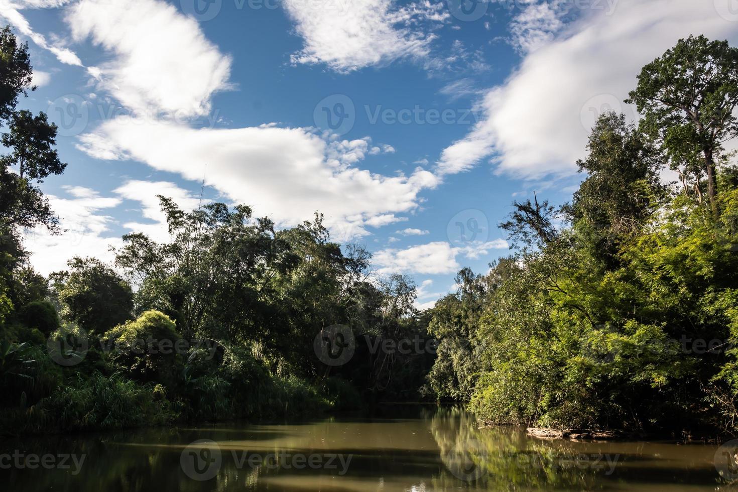 Landscape of streams and forests photo