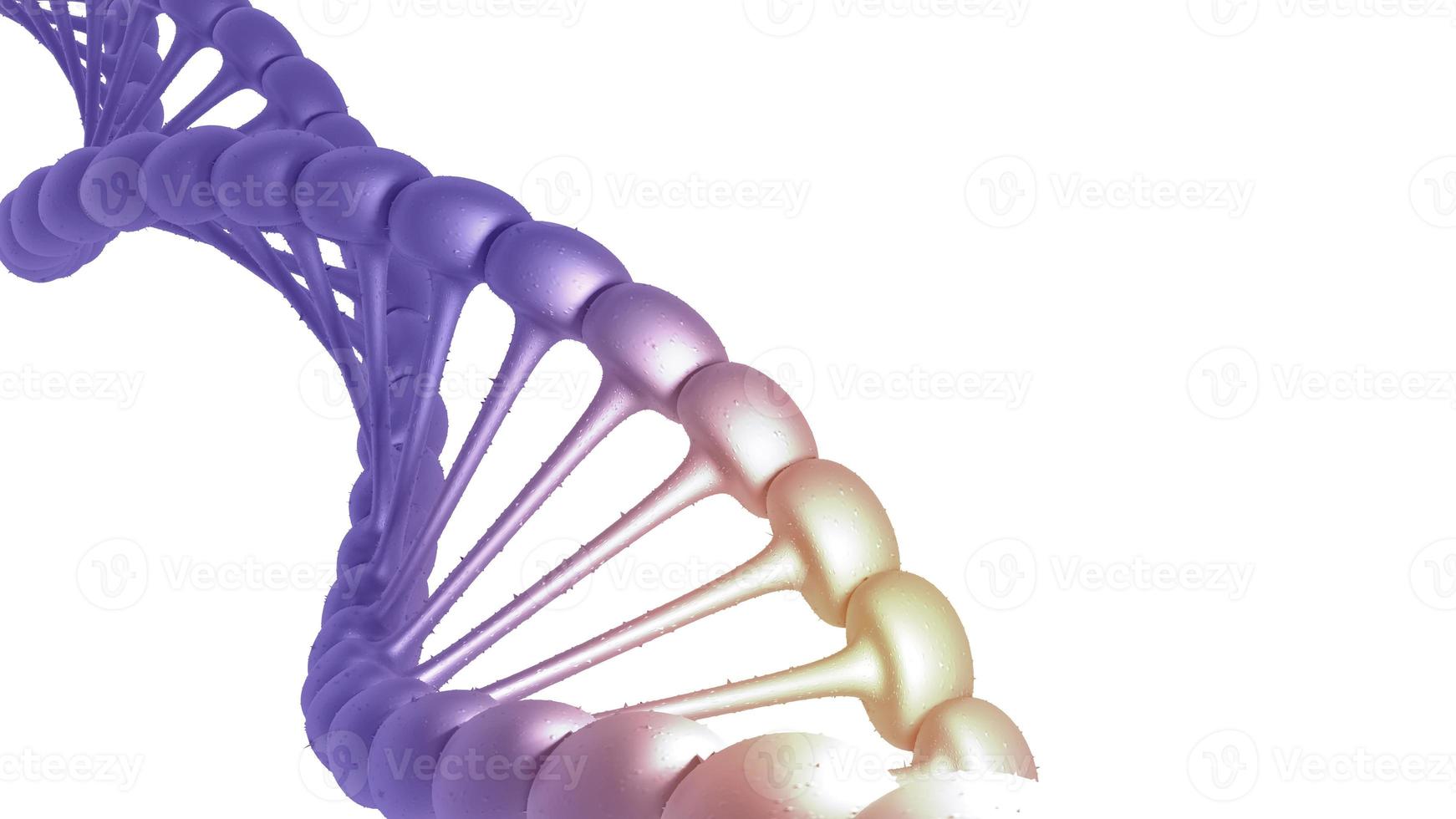 3D render DNA structure  polygonal wireframe DNA isolated background. 3D illustration photo