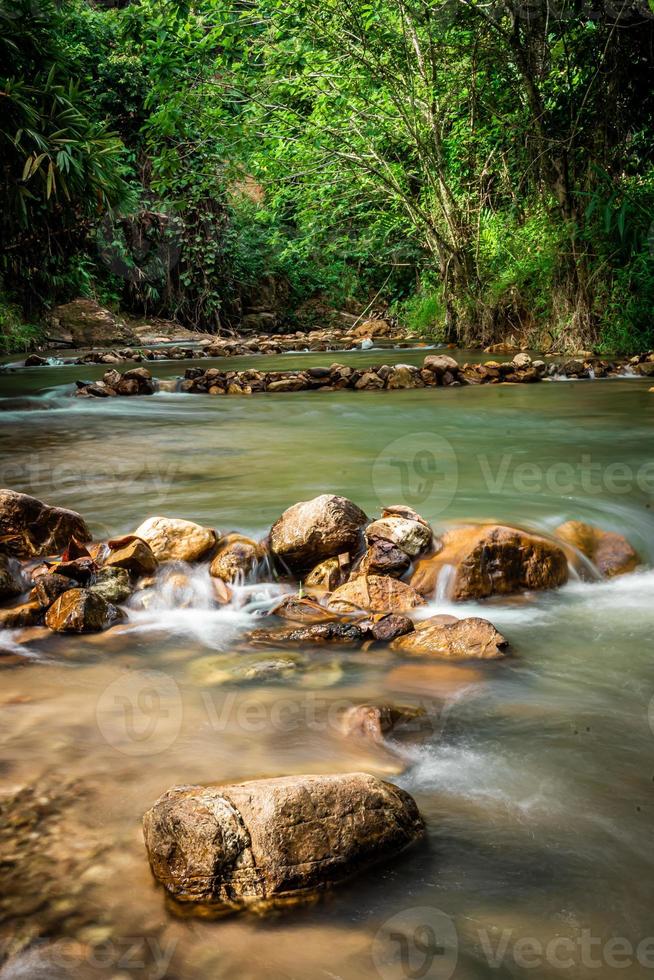 small stream in green forest  Yala Thailand photo