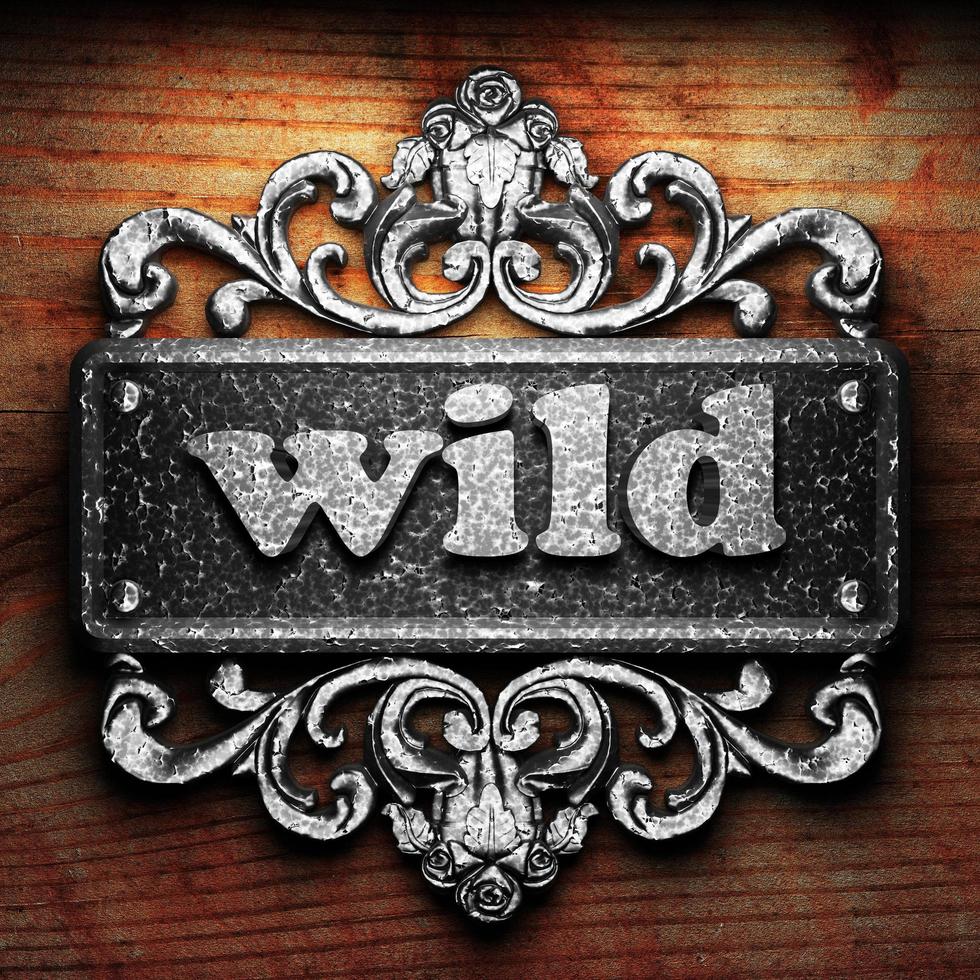 wild word of iron on wooden background photo