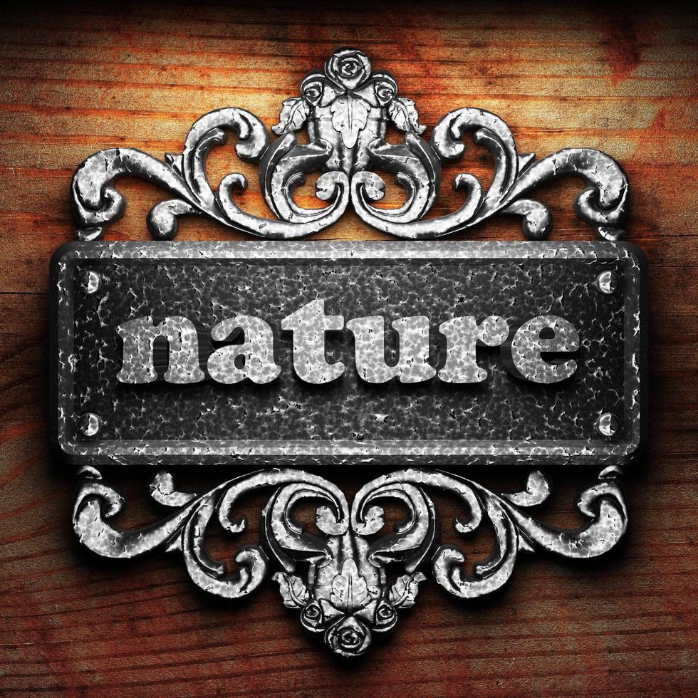 nature word of iron on wooden background photo