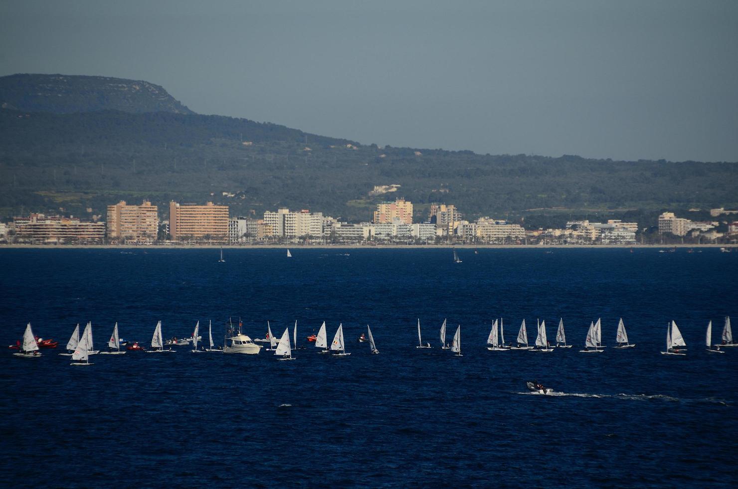 many sailboats at a coast photo