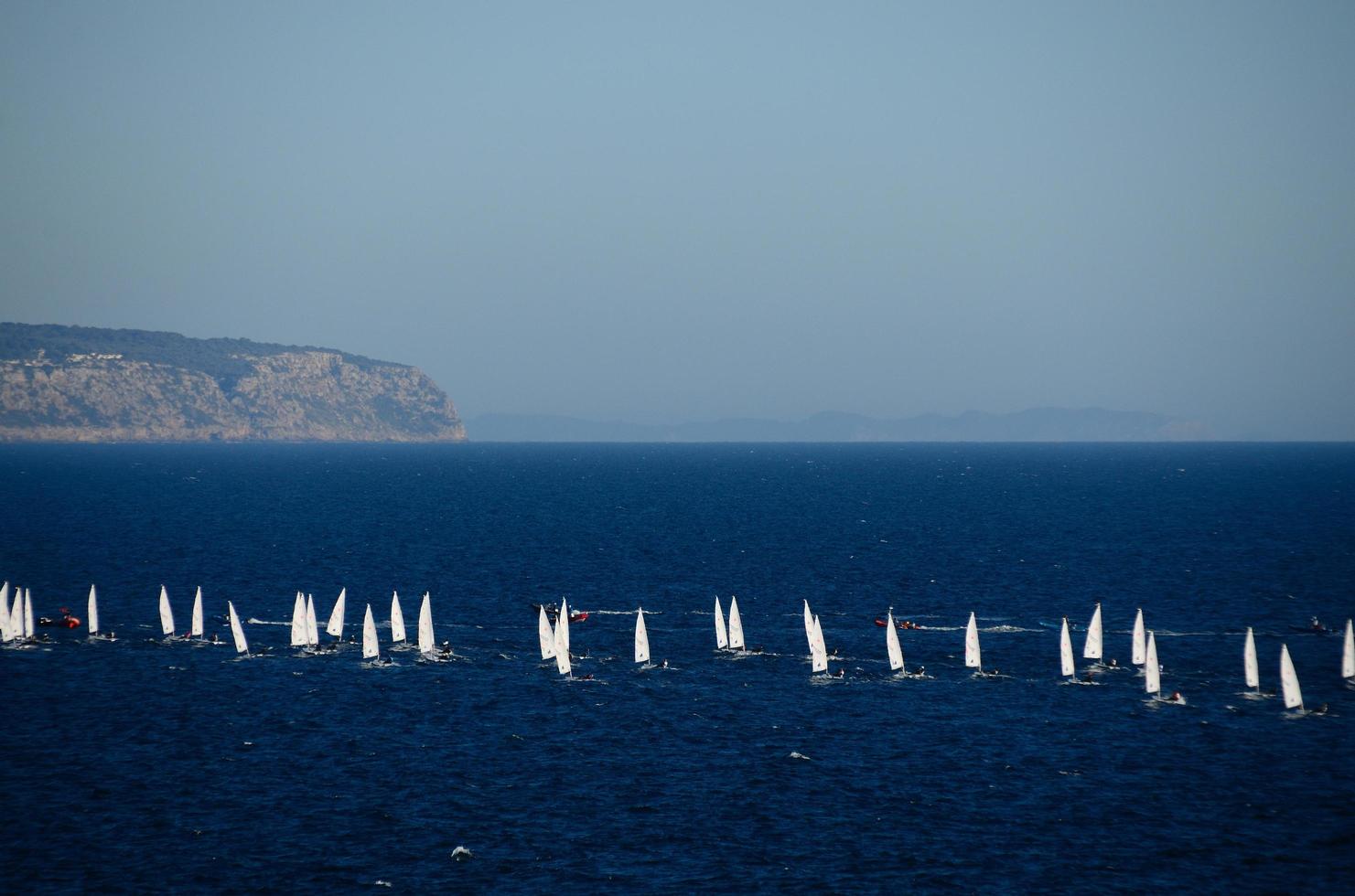 many sailboats on sea photo