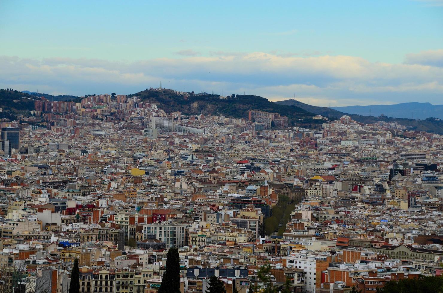 many buildings in barcelona photo