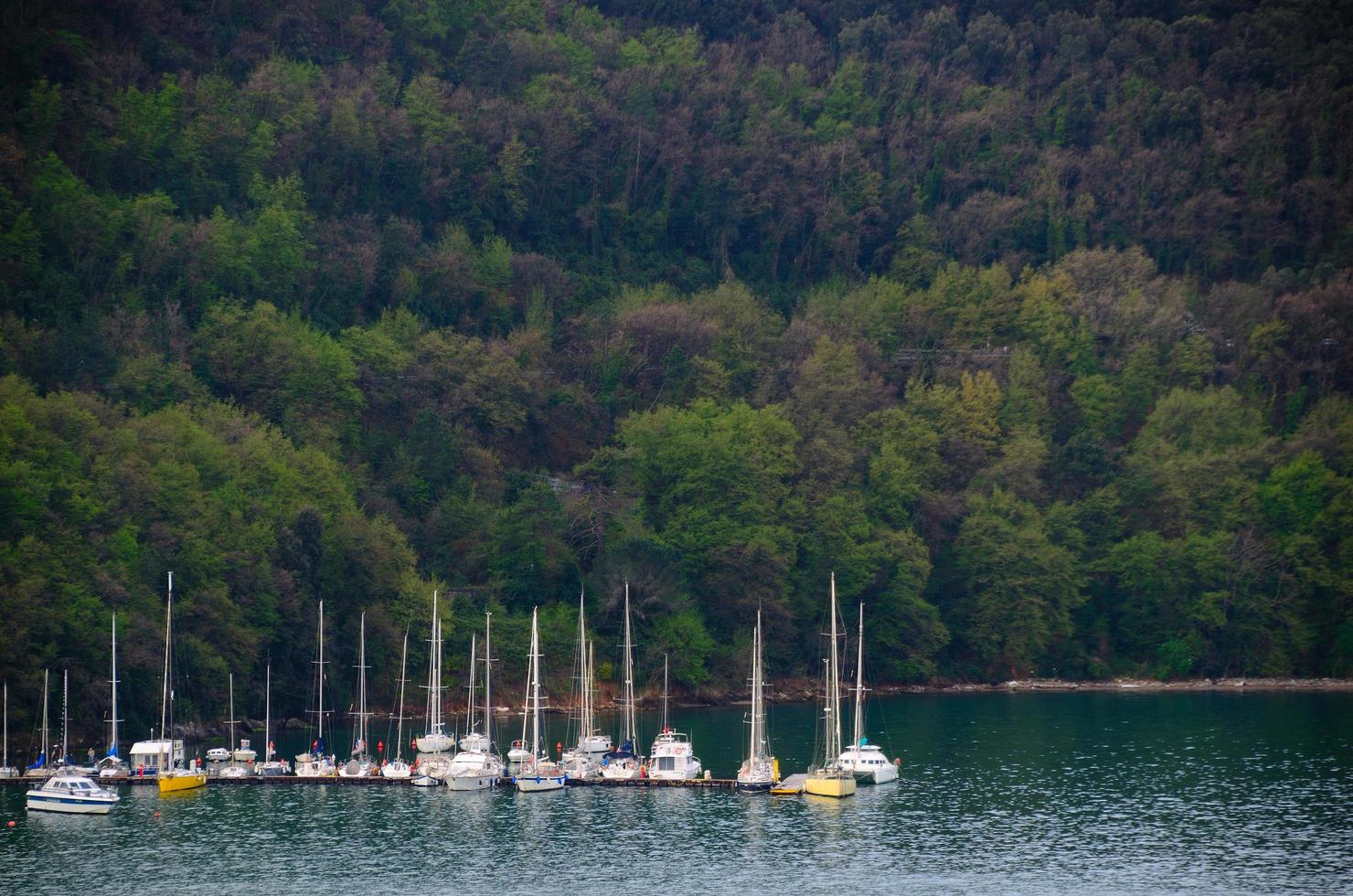 sailboats in a bay photo