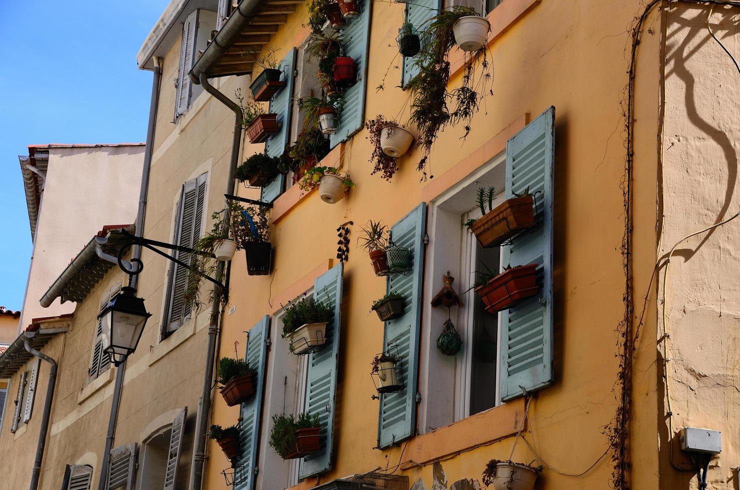 many flower pots on wall in Marseille photo