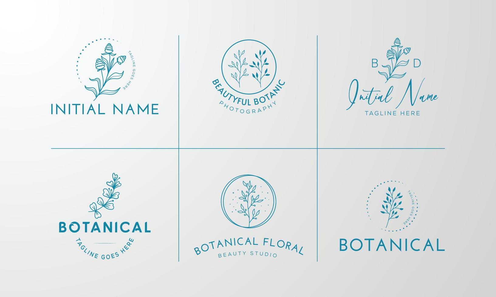 Floral element Botanical Hand Drawn Logo with Wild Flower and Leaves.Logo for spa and beauty salon, boutique, organic shop, wedding, floral designer, interior, photography, cosmetic. vector