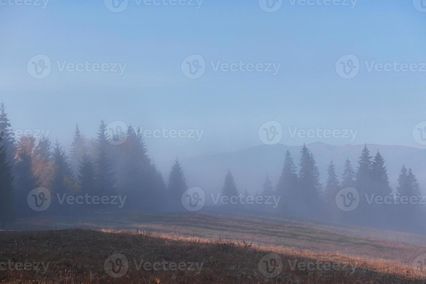 hermosa niebla matutina y rayos de sol en la ladera de la montaña en el bosque de pinos de otoño foto