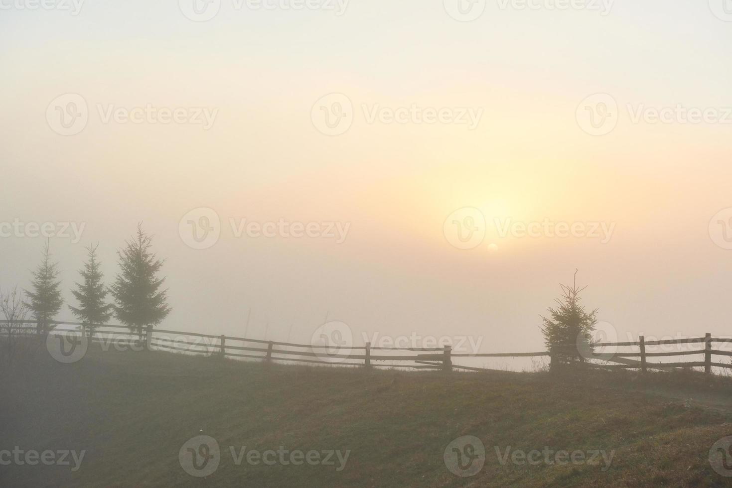 Foggy morning in the Ukrainian Carpathian Mountains in the autumn season photo