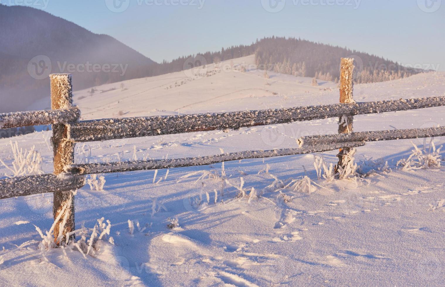 misterioso paisaje invernal majestuosas montañas en invierno. árbol mágico cubierto de nieve de invierno. tarjeta de felicitación con foto. cárpato Ucrania foto