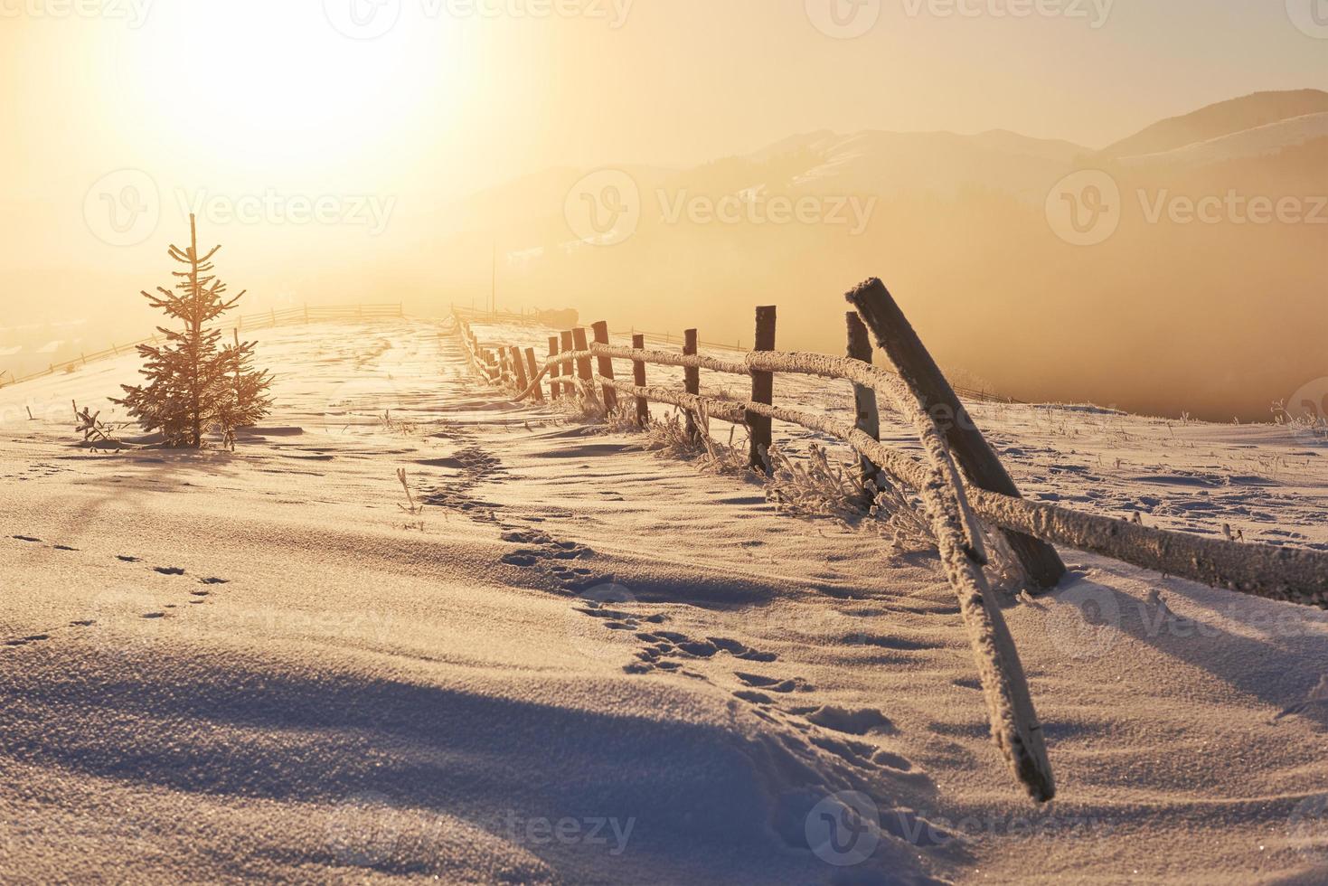 the winter road. Dramatic scene. Carpathian Ukraine photo