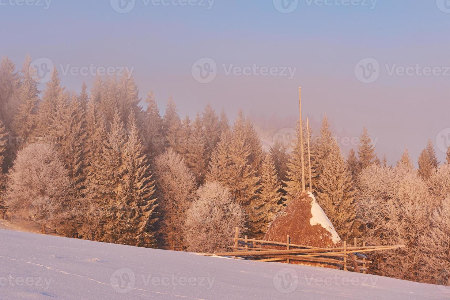 winter landscape trees and fence in hoarfrost, background with some soft highlights and snow flakes photo