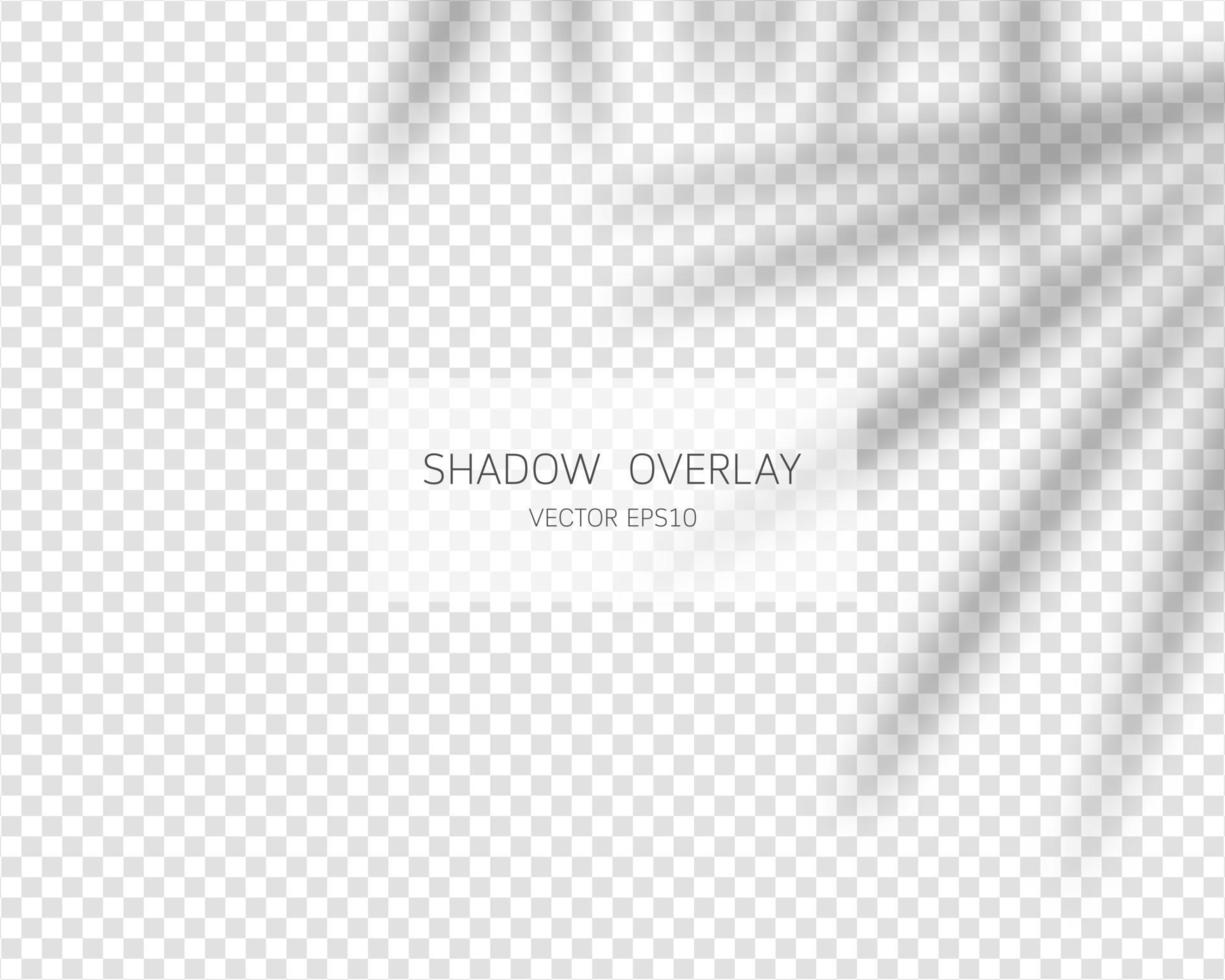 Shadow overlay effect. Natural shadows isolated on transparent background. Vector illustration.