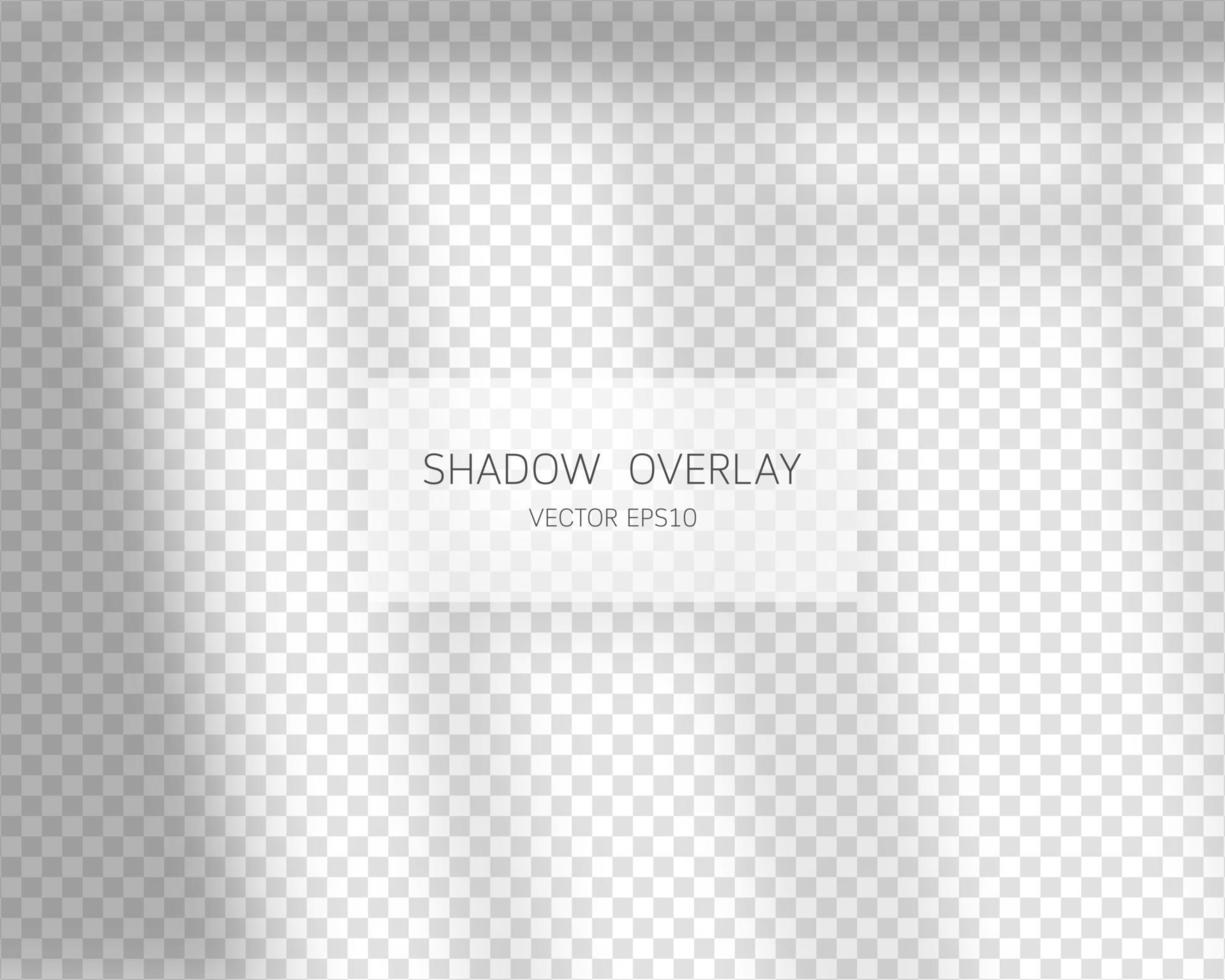 Shadow overlay effect. Natural shadows from window isolated on transparent background. Vector illustration.