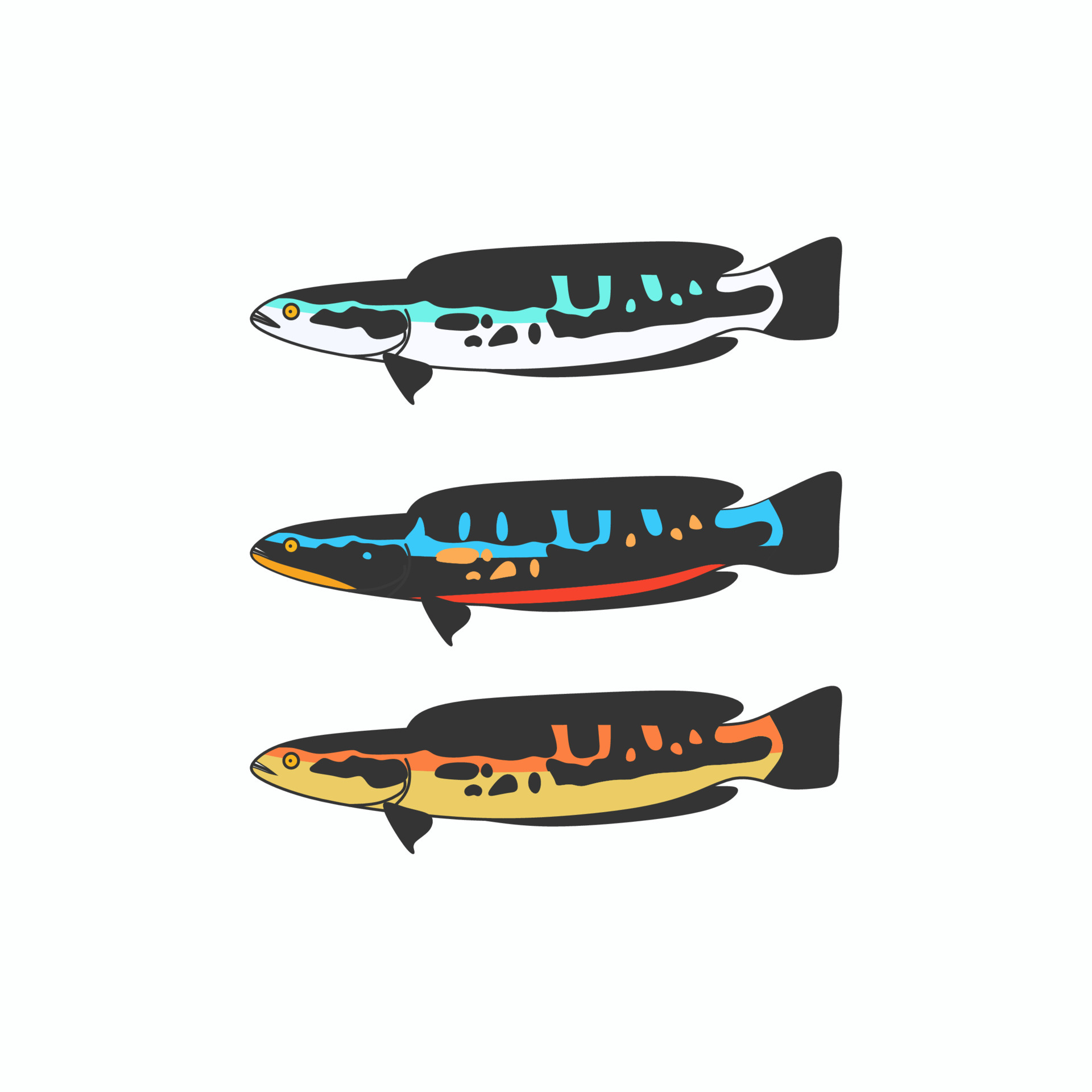 simple variety of toman fish vector 6348958 Vector Art at Vecteezy