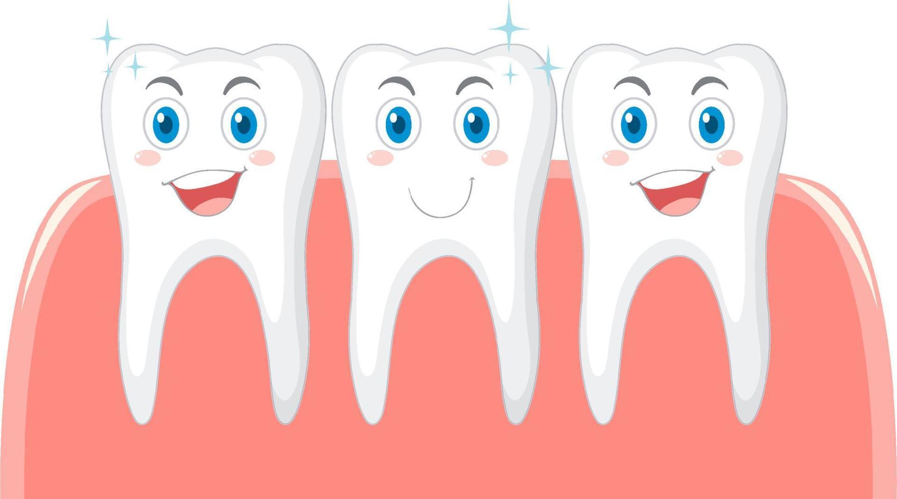 Dental and gum health teeth cleaning vector