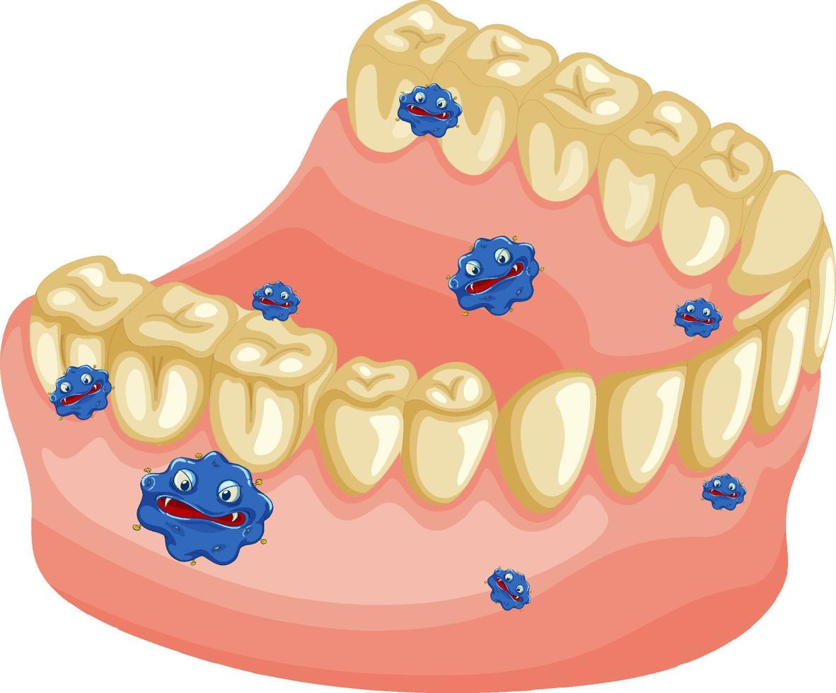 modelo de dientes humanos amarillos con bacterias vector