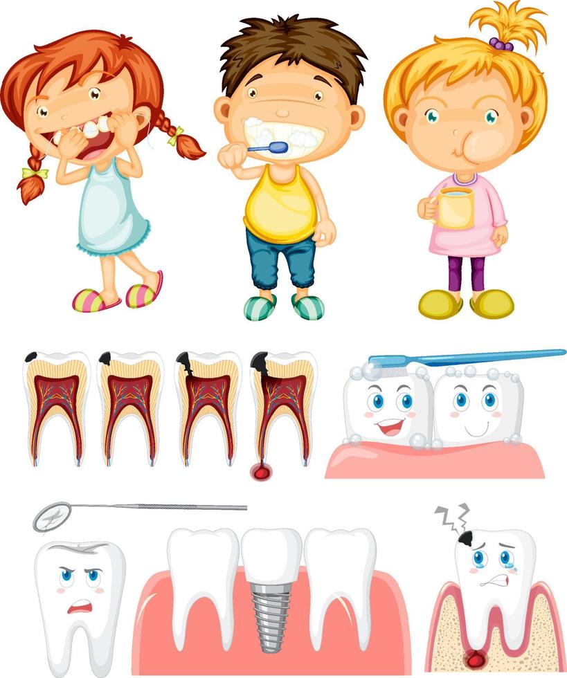 Set of all types of teeth with kid on white background vector