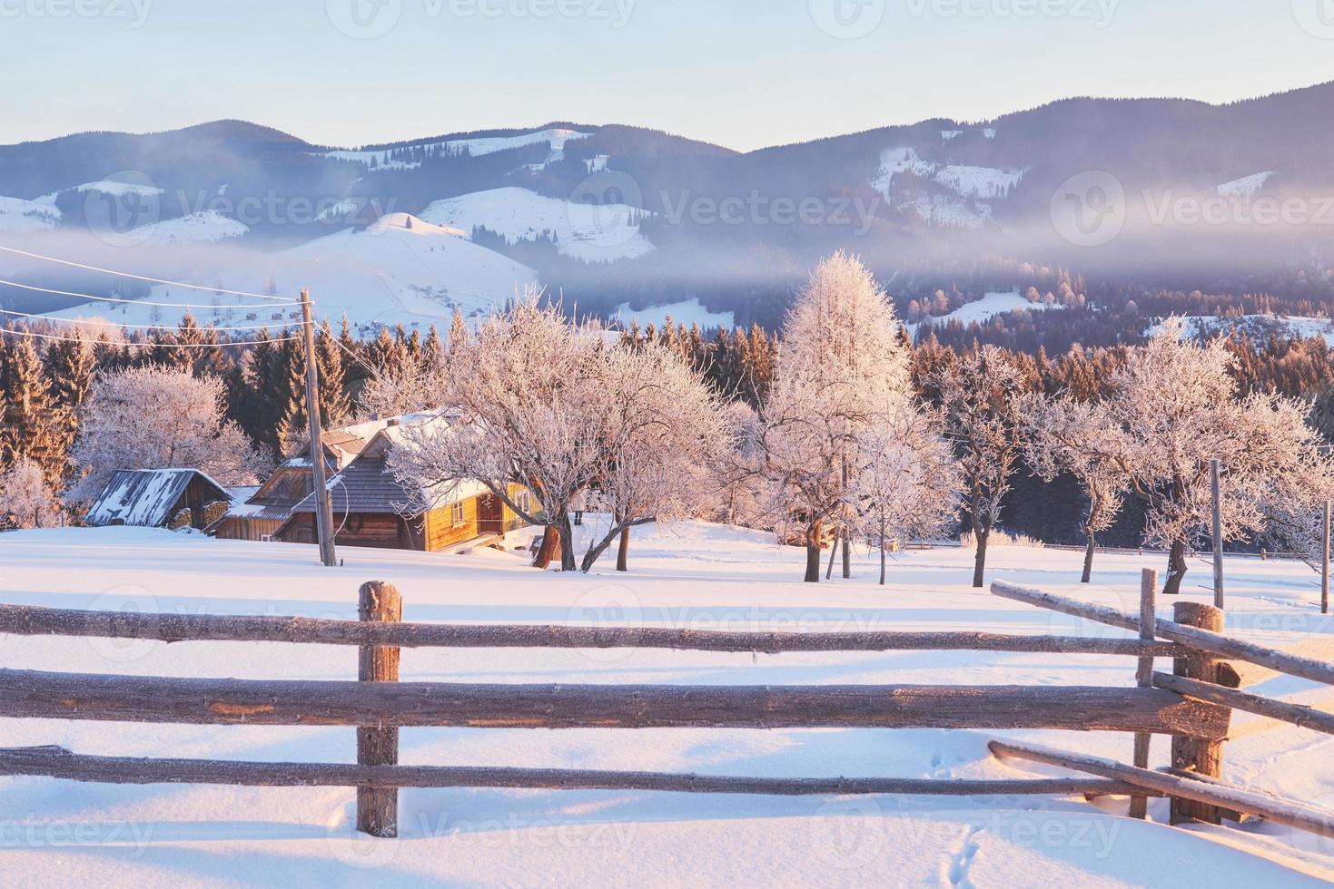 misterioso paisaje invernal majestuosas montañas en invierno. árbol mágico cubierto de nieve de invierno. tarjeta de felicitación con foto. cárpato Ucrania foto