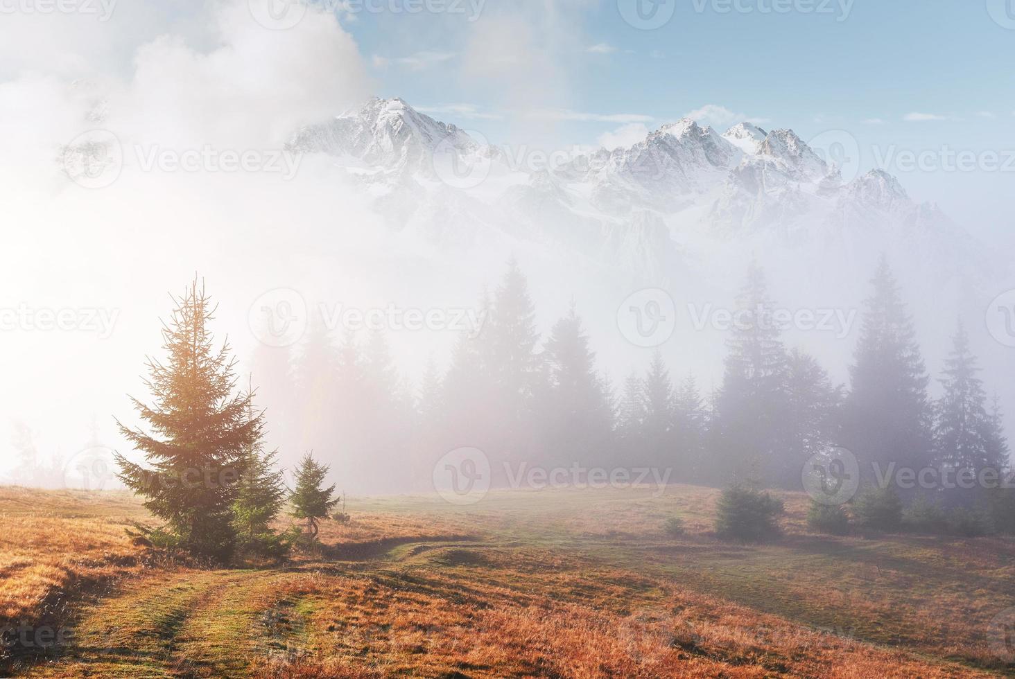 la niebla matutina se arrastra con restos sobre el bosque montañoso otoñal cubierto de hojas doradas. picos nevados de montañas majestuosas en el fondo foto