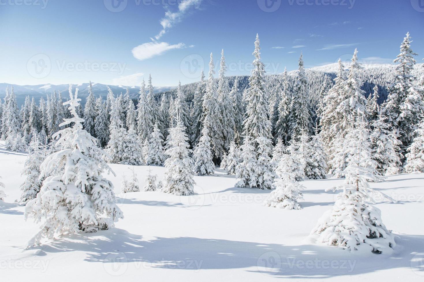 Fantastic winter landscape. Magic sunset in the mountains a frosty day. On the eve of the holiday. The dramatic scene. Carpathian, Ukraine, Europe. Happy New Year photo