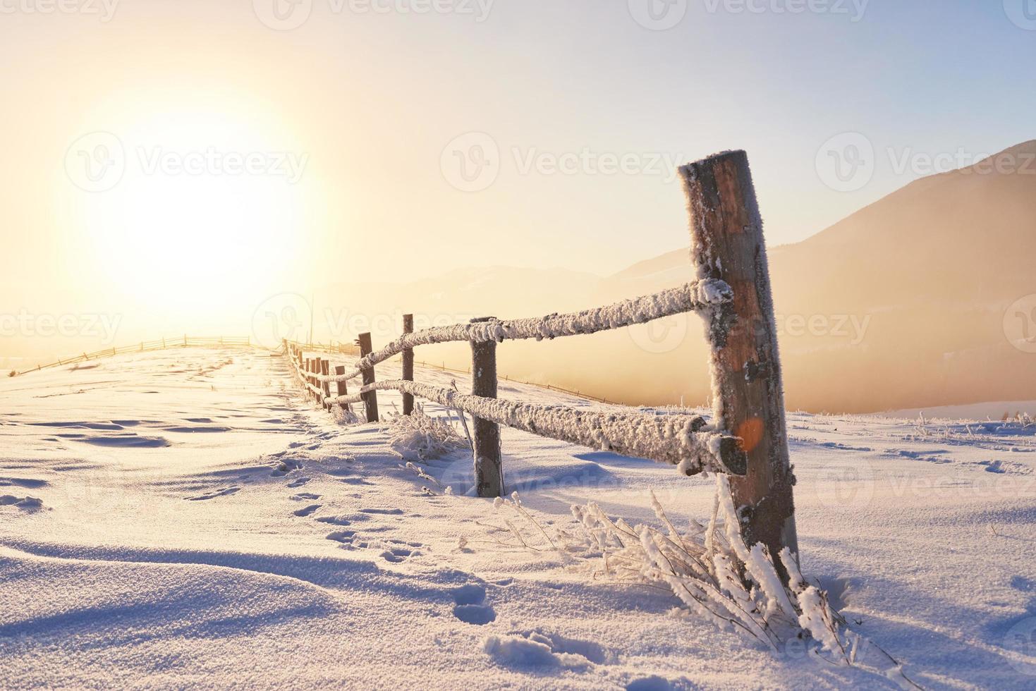 misterioso paisaje invernal majestuosas montañas en invierno. árbol mágico cubierto de nieve de invierno. tarjeta de felicitación con foto. cárpato Ucrania foto