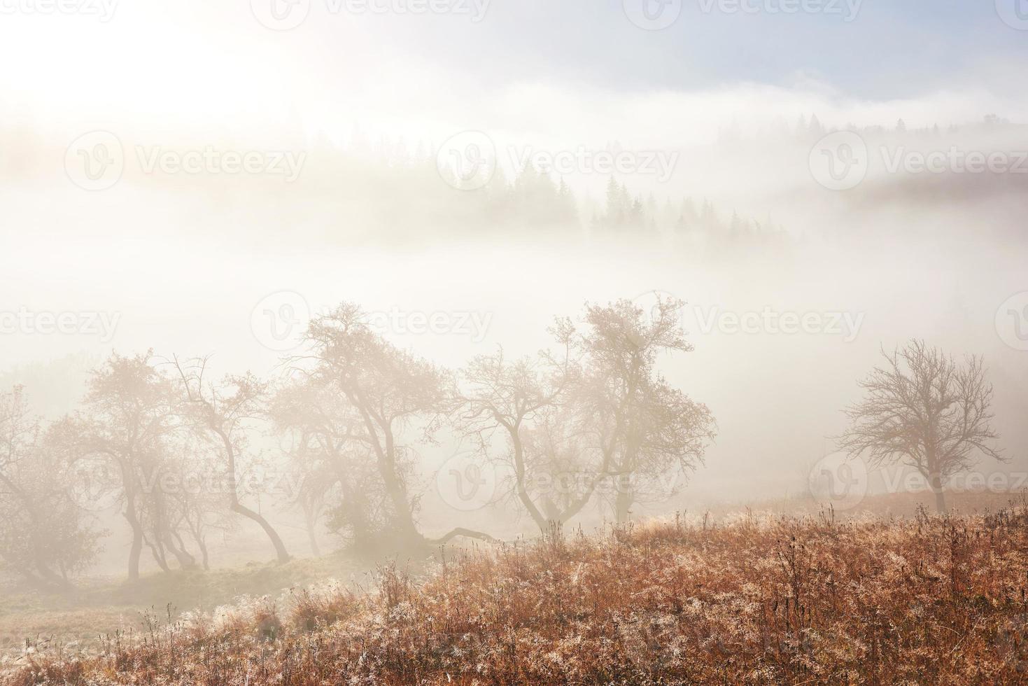 niebla otoñal y el hermoso sol de la mañana en un paisaje foto