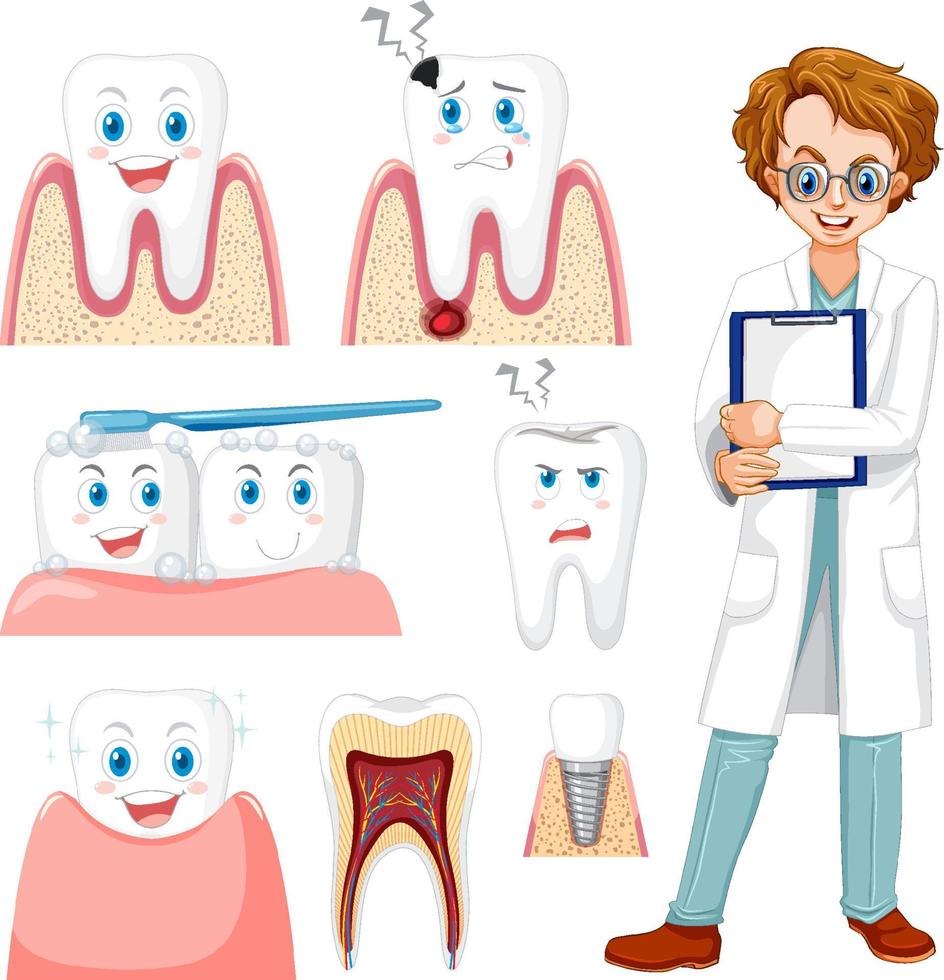 Set of all types of teeth on white background vector