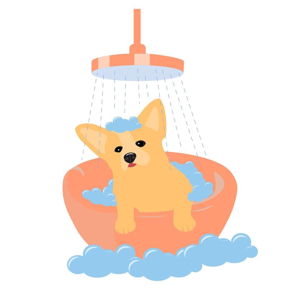 Puppy taking a bath vector stock illustration. Cute corgi dog. Groomer logo of the pet care salon. Isolated on a white background.
