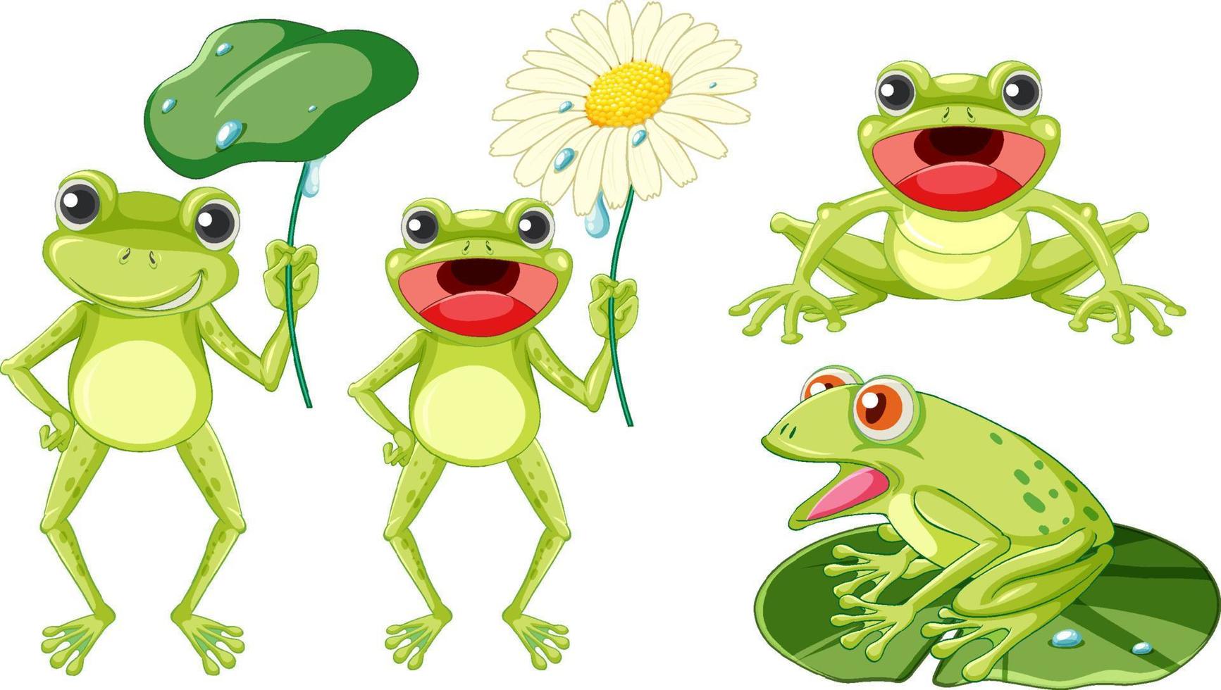 conjunto de diferentes ranas verdes lindas en estilo de dibujos animados vector