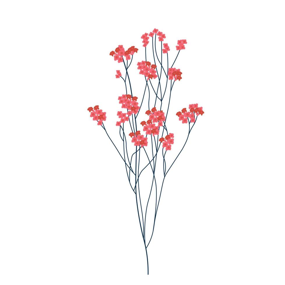 Gypsophila pink vector stock illustration. A branch of dry red flowers. Isolated on a white background.