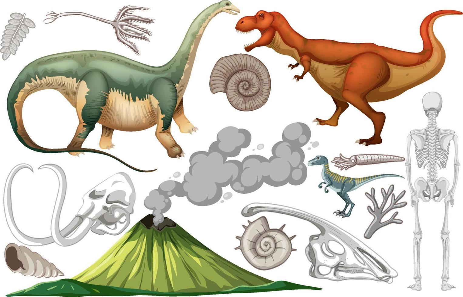 un conjunto de dinosaurios y fósiles vector